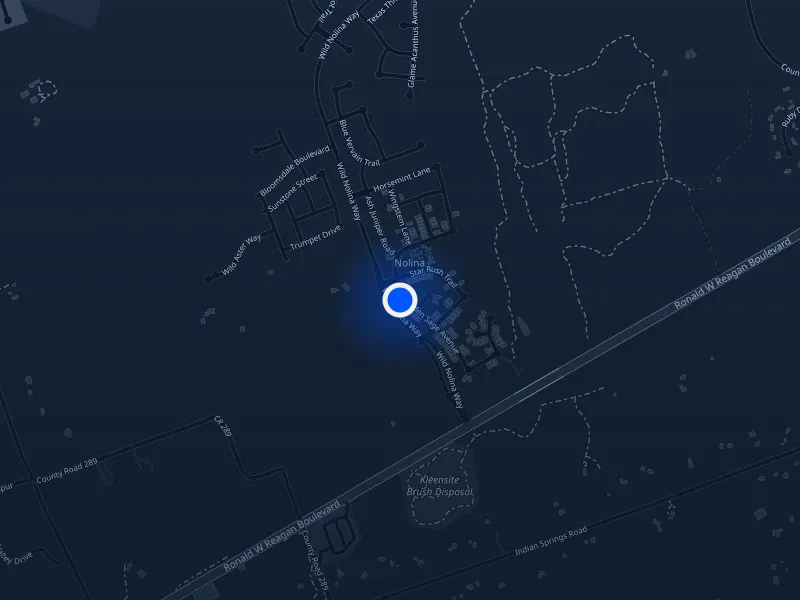 Map of 317 Golden Sage Ave, Georgetown