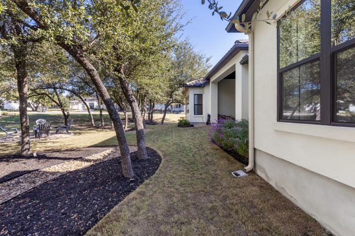 Side yard and live oaks